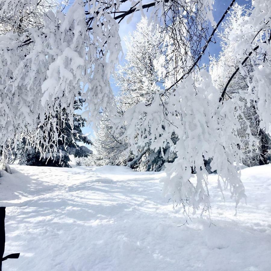 Arc 1950 Manoir Savoie Skis Aux Pieds ブール・サン・モーリス エクステリア 写真